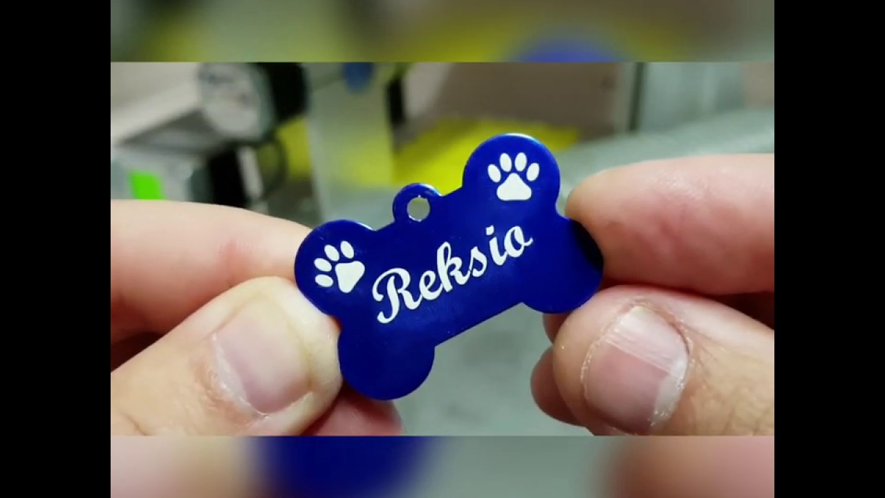 Watch Identyfikator dla psa z danymi. now Identyfikator dla psa z danymi.