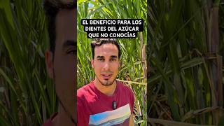 El BENEFICIO del AZÚCAR para los DIENTES que no conocías