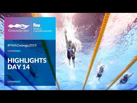 Highlights - Day 14 | FINA World Championships 2019 - Gwangju
