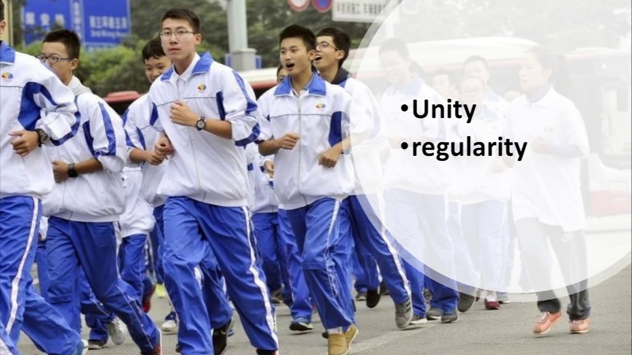 portfolio 1_the local