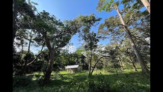 6 Rai Land Plot with Fruit Orchards for Sale in Takua Thung, Phang Nga