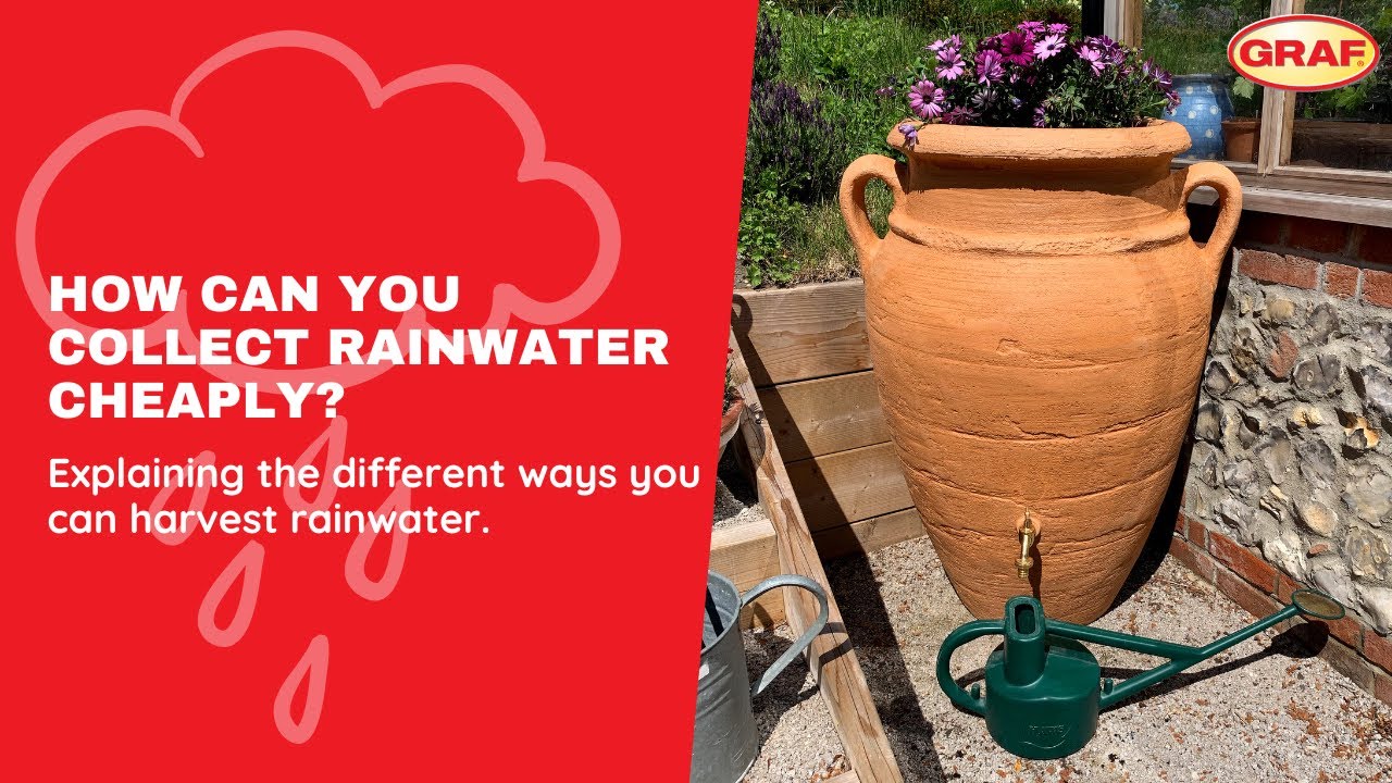 How can you collect rainwater cheaply? GRAF UK