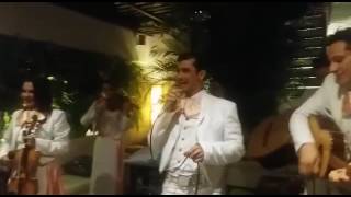 Video de Mariachi Show Perla de América