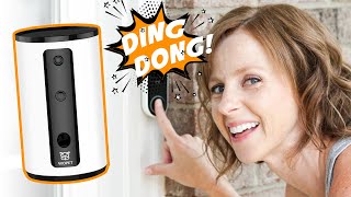 How To Have A Well-Behaved Dog When The Doorbell Rings: Using The Wopet Dog Camera