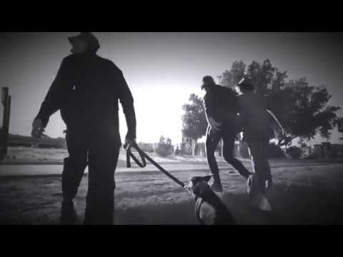 St. Cinder -Double Yellow Blues