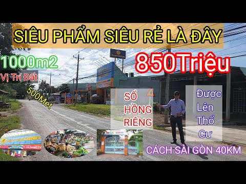 Mẹ bán đất trả nợ cho con trai đánh bạc 1000m2 gia 720tr