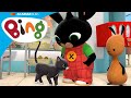 Bing Sangat Sayang Kucing Arlo Bing Bahasa Melayu
