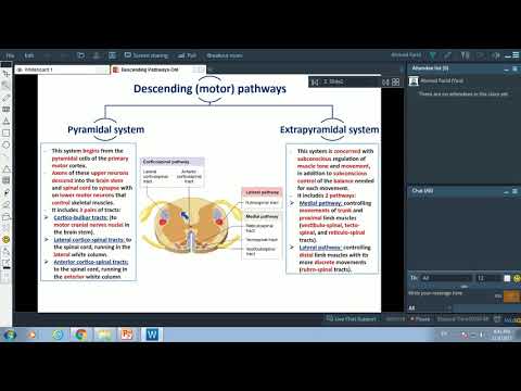 Descending Pathways-Dr.Ahmed Farid
