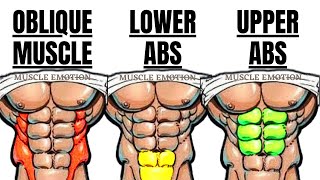 15 BEST  ABS EXERCISES AT HOME OR GYM WORKOUT / LE