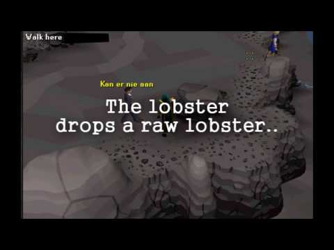 dungeoneering MEGA glitch !(3D+HD) !