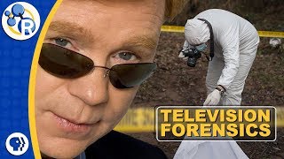TV Forensics: What Do CSIs Actually Do?