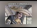 VICENTE  FERNANDEZ - NO  TIENE  NOMBRE  (LETRA)