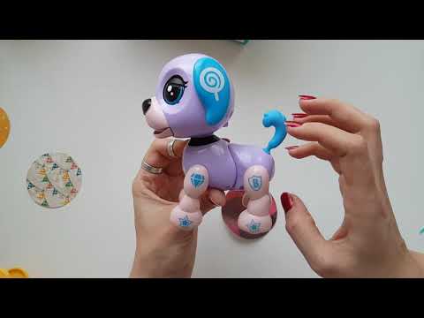 Обзор Умного щенка от магазина 'Модный Карапуз'