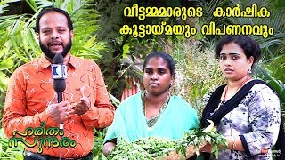 Successful Housewives Agricultural solidarity and marketing | Haritham Sundharam EPI 232 video