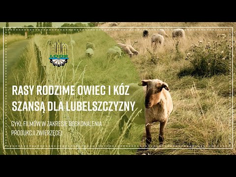 , title : '"Rasy rodzime owiec i kóz szansą dla Lubelszczyzny” Cykl filmów w zakresie doskonalenia produkcji...'