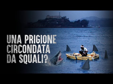 How to Survive an Alcatraz Breakout