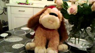 Merry Christmas Shout - The Stupid Dog.mp4