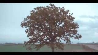 너(You) by Kang Seungyoon fmv(chanhyuk x lea)