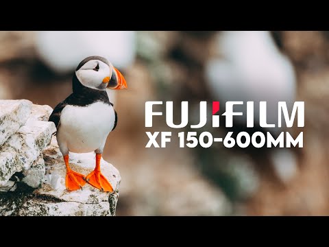 I'VE DREAMED OF THIS TRIP! - FUJIFILM 150-600MM REVIEW