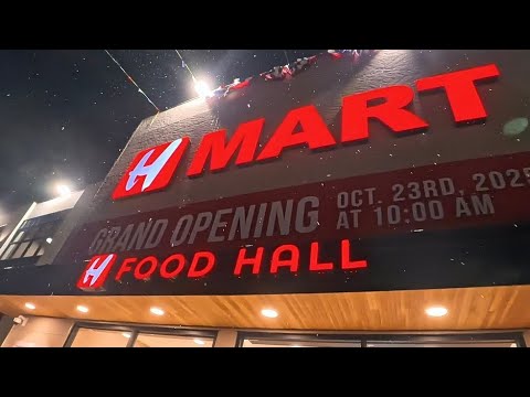 [POV] Grocery Shopping & Walkthrough at H-Mart GRAND OPENING in Dallas, TX