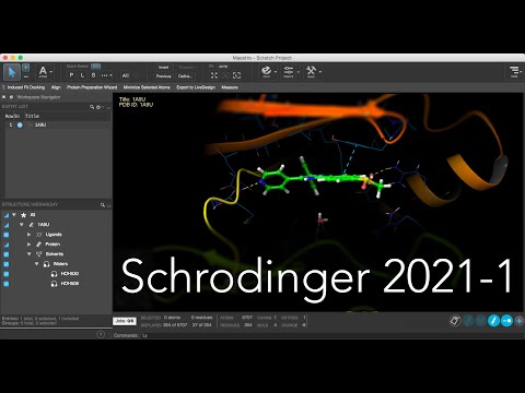 Schrödinger Release - New Features 2021-1