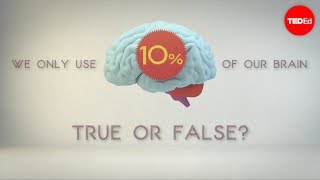 So Much Brains!
