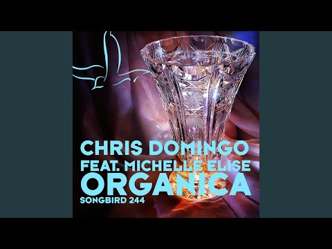 Chris Domingo Ft Michelle Elise Organica - Black Hole Recordings