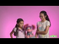 Sesame Street And Autism Learning Sign Language