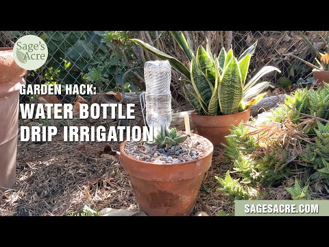 Garden Hack: Drip irrigation with a water bottle