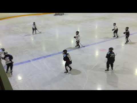 Treenipeli F1 Jyp musta - Jyp valkoinen (1)