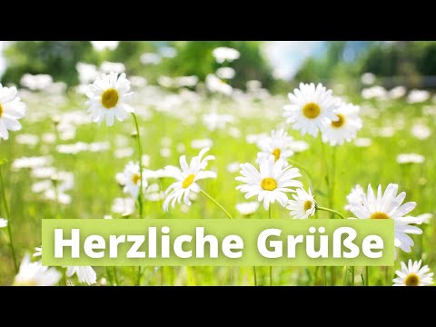 Herzliche Grüße an wertvolle Menschen 🤗 Liebe Grüße 😍