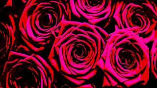 RADKA TONEFF - Say something nice to her (slides)