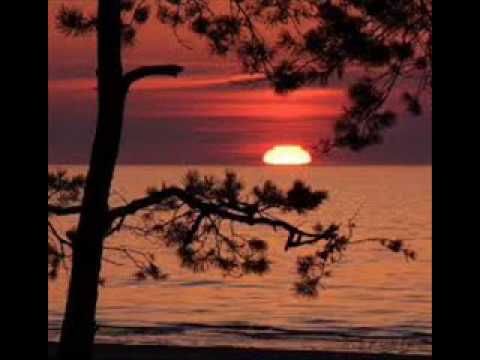 Ringla - Ilgais ceļš kāpās