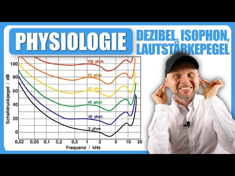 Physiology of hearing 🔊 - decibels, isophones, volume levels