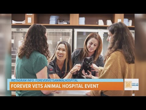 Senior Health Pet Month with VEG ER for Pets - YouTube