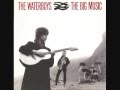 The Waterboys - The Earth Only Endures