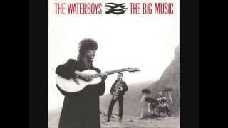 The Waterboys - The Earth Only Endures