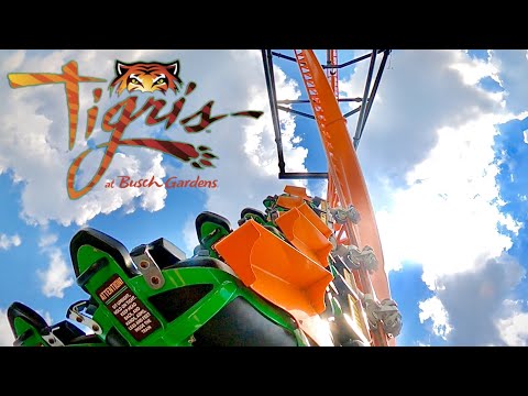 Tigris (Busch Gardens Tampa) On Ride POV