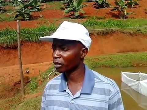 Making 300 modern beehives for 50 Women in Burundi