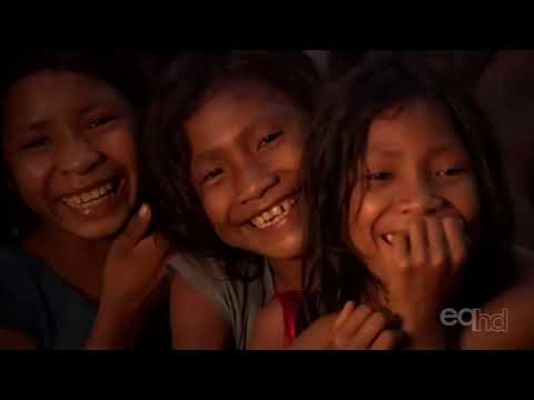 The Grammar of Happiness (2012)