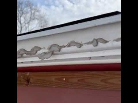 Need new gutters?