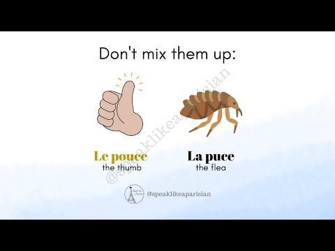 How to not mix up "Pouce" (thumb) 👍🏼 and "Puce" (flea) 🤔 in French! 🇫🇷