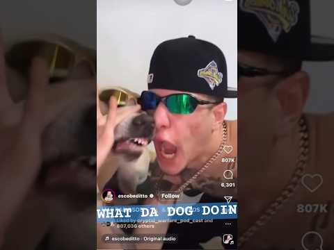 Beatboxing dog 😂😂😂  #dog #doglover #music #shorts #viral #trending