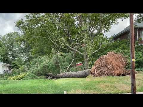 08-19-2021 Perkasie PA Suspected Tornado Damage From Fred Remnants
