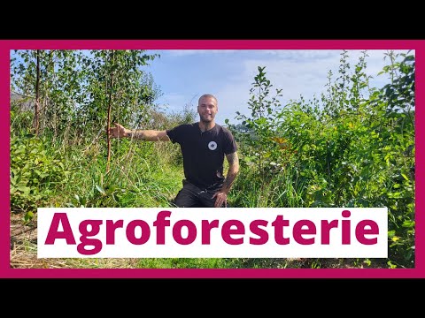 , title : 'Agroforesterie : Découvrez le sylvopastoralisme, la haie fruitière et le jardin-forêt'