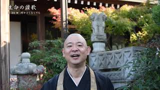 【通照院】生命の讃歌『何かをしなくても』November mqdefault - 【通照院】生命の讃歌『何かをしなくても』November