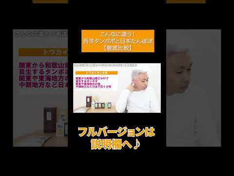 園芸 タンポポの肥料