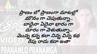 pranam lo pranam ga song lyrics in telugu  andrudu