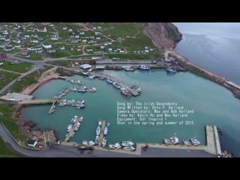 Let Me Fish Off Cape St  Mary's, Irish Descendants