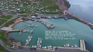 Let Me Fish Off Cape St  Mary's, Irish Descendants